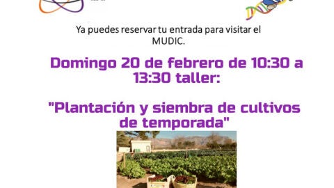 mudic