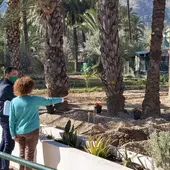 El C.E.E. Antonio Sequeros amplia su huerto escolar con la subvención de la Concejalía de Medio Ambiente El C.E.E. Antonio Sequeros amplia su huerto escolar con la subvención de la Concejalía de Medio Ambiente