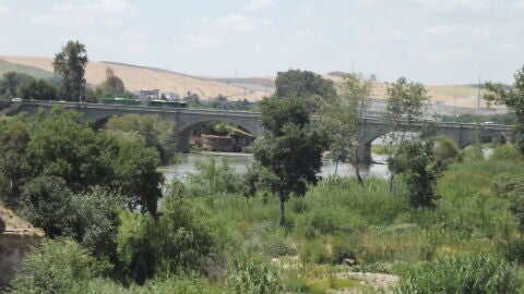Sotos de la Albolafia. Puente de San Rafael. C&oacute;rdoba