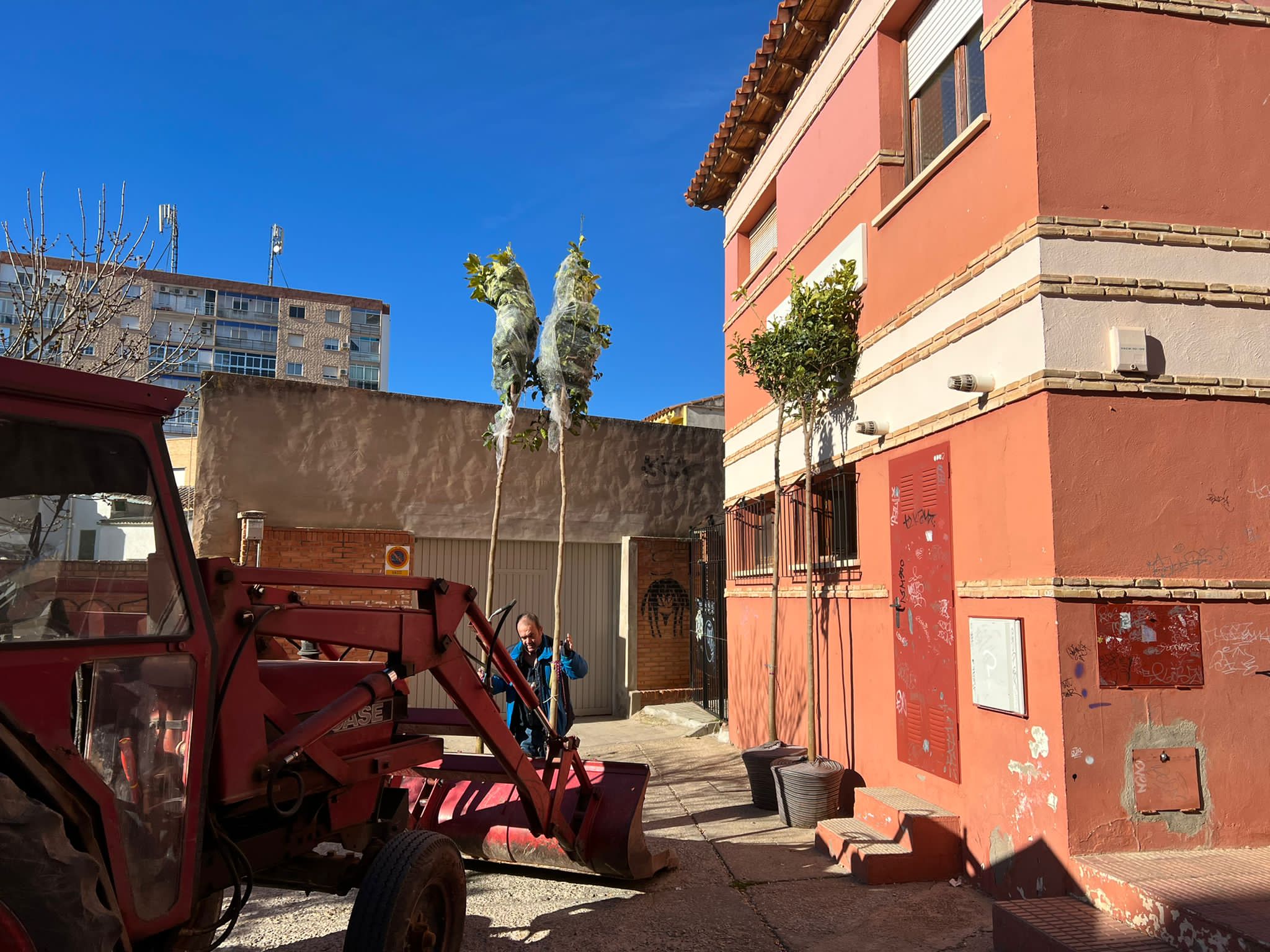 Comienza la plantación de arbolado en alcorques en la Avenida de Criptana Comienza la plantación de arbolado en alcorques en la Avenida de Criptana