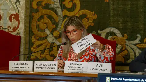 Mari Carmen Sánchez en el pleno con carteles reivindicativos Mari Carmen Sánchez en el pleno con carteles reivindicativos