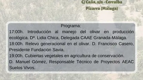 El Consejo Regulador de la DOP Aceituna Aloreña organiza las II Jornadas "Cultivo del Olivar" Gastronomia