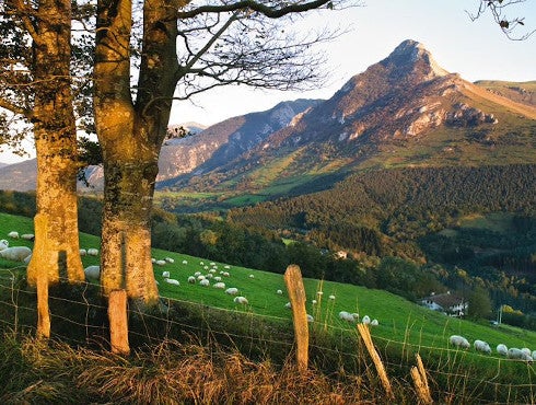 Vitoria sede del V Foro de Ecoturismo de Euskadi entre el 9 y 10 de marzo Vitoria sede del V Foro de Ecoturismo de Euskadi entre el 9 y 10 de marzo