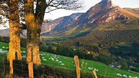 Vitoria sede del V Foro de Ecoturismo de Euskadi entre el 9 y 10 de marzo Vitoria sede del V Foro de Ecoturismo de Euskadi entre el 9 y 10 de marzo