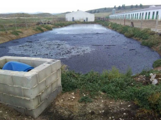 Ecologistas en Acción se opone a la ampliación de tres macrogranjas porcinas en Fuente Álamo, Lorca y Caravaca Ecologistas en Acción se opone a la ampliación de tres macrogranjas porcinas en Fuente Álamo, Lorca y Caravaca