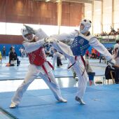Taekwondo
