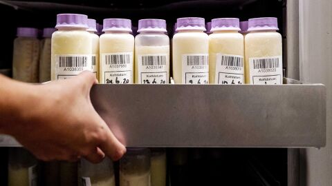 Muestras del banco de leche materna. / Efe