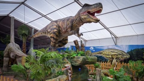 Mundo Dinosaurio