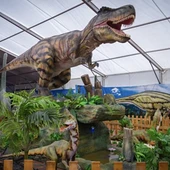 Mundo Dinosaurio Mundo Dinosaurio