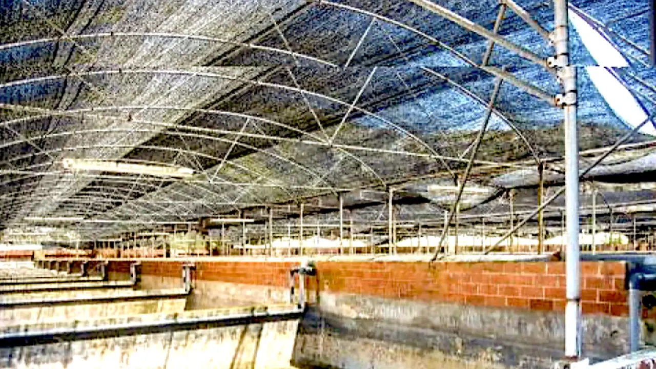 El PSOE de Llanes pide alternativas al derribo de la piscifactoría de Nueva El PSOE de Llanes pide alternativas al derribo de la piscifactoría de Nueva