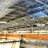 El PSOE de Llanes pide alternativas al derribo de la piscifactoría de Nueva El PSOE de Llanes pide alternativas al derribo de la piscifactoría de Nueva