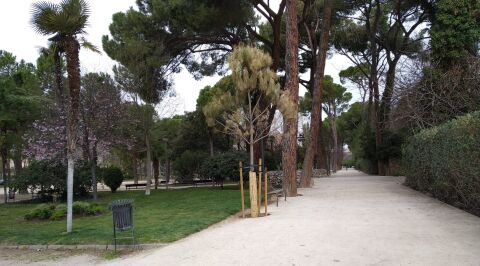 El Ayuntamiento de Alcal&aacute; de Henares invertir&aacute; en la mejora de 11 parques del municipio