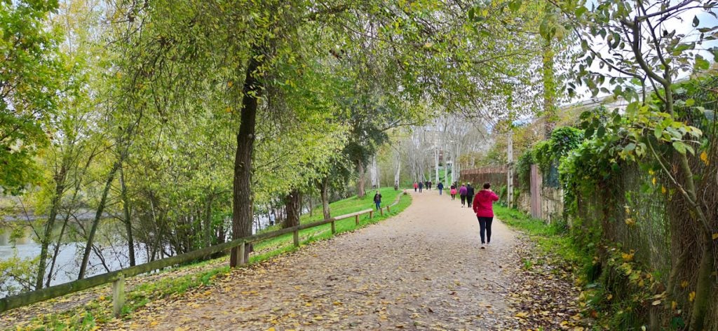 A Xunta impulsa un itinerario peonil e ciclista para conectar a cidade de Ourense de norte a sur A Xunta impulsa un itinerario peonil e ciclista para conectar a cidade de Ourense de norte a sur