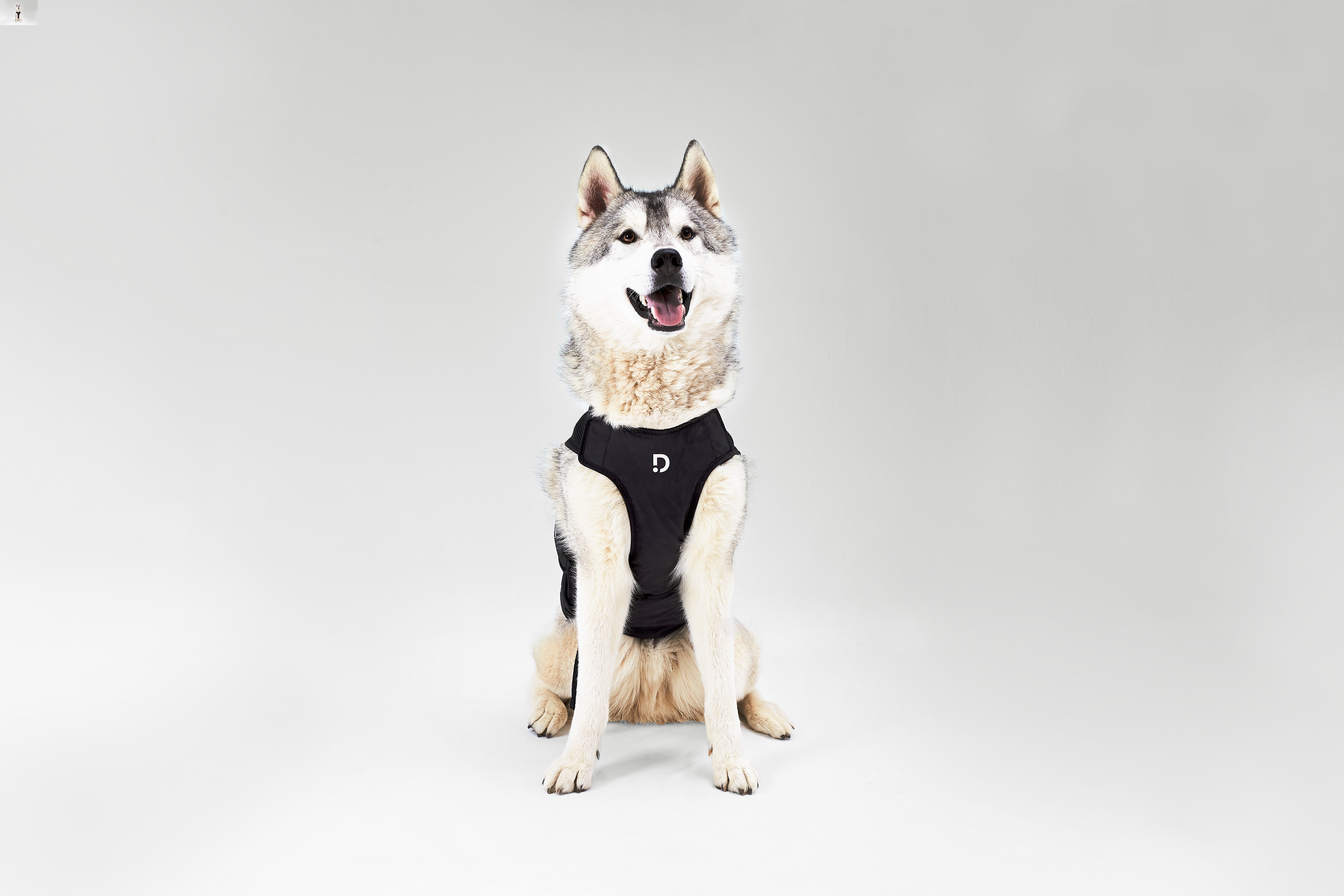 El arnés inteligente Dinbeat UNO, un 'wearable' veterinario El arnés inteligente Dinbeat UNO, un 'wearable' veterinario