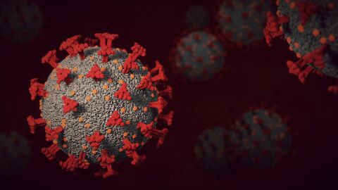 coronavirus SARS-CoV-2