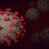 coronavirus SARS-CoV-2 coronavirus SARS-CoV-2