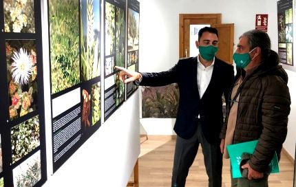 El Palmeral reunirá en un libro la exposición sobre ‘Las plantas y sus usos tradicionales’ El Palmeral reunirá en un libro la exposición sobre ‘Las plantas y sus usos tradicionales’