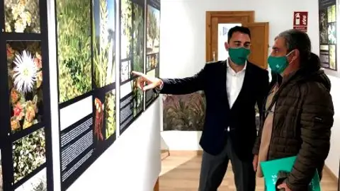 El Palmeral reunirá en un libro la exposición sobre ‘Las plantas y sus usos tradicionales’ exposicion
