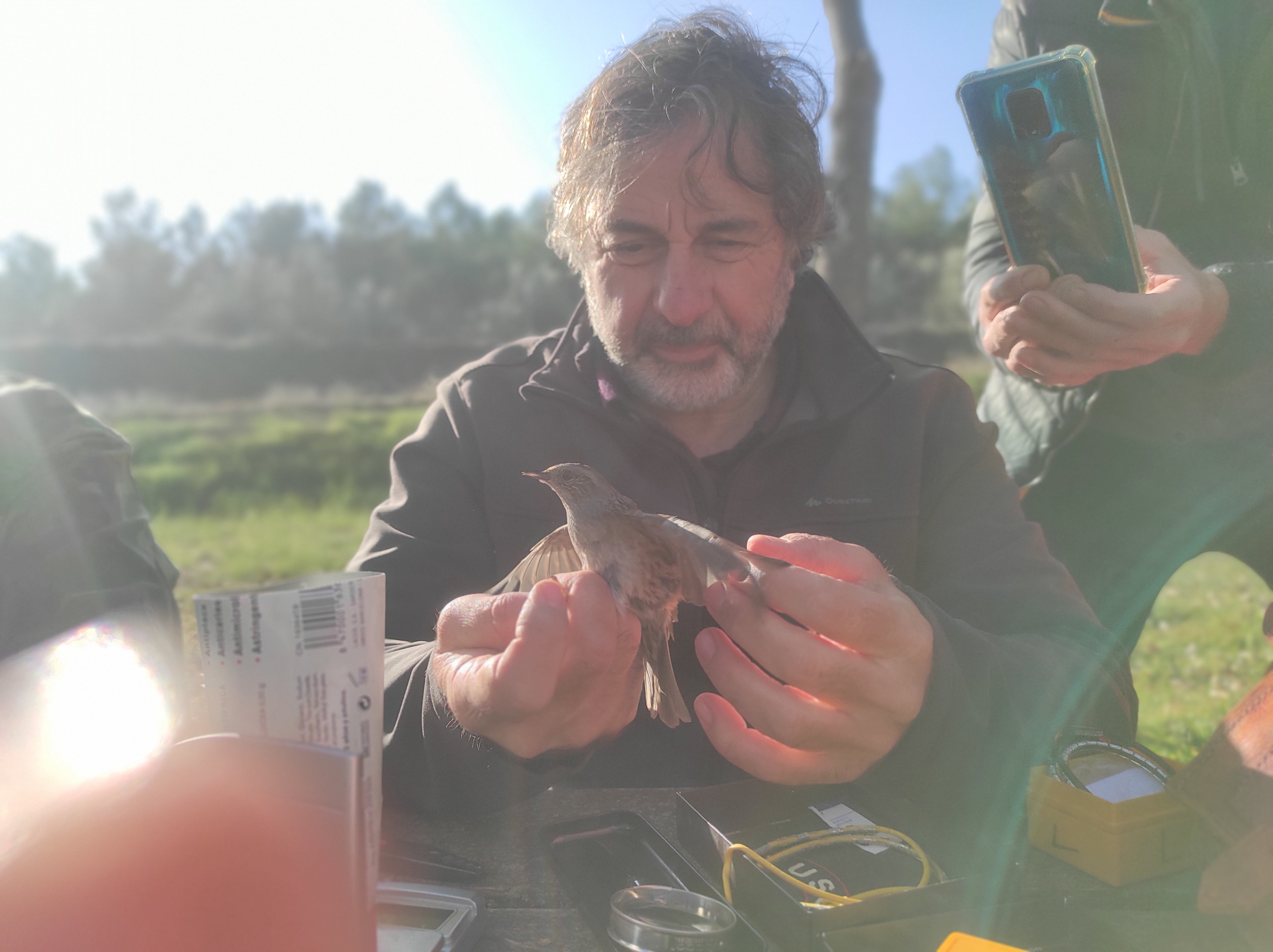 La estación de anillamiento de Las Aguas, en Valdepeñas, un recurso por descubrir La estación de anillamiento de Las Aguas, en Valdepeñas, un recurso por descubrir
