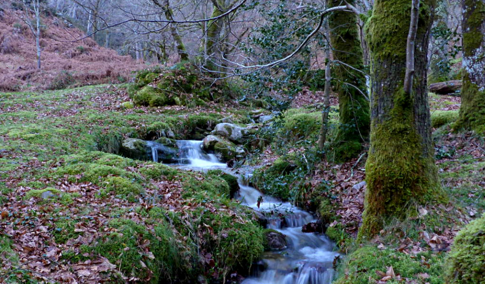 "Los entornos con algún grado de protección ambiental son grandes activos turísticos para Asturias" "Los entornos con algún grado de protección ambiental son grandes activos turísticos para Asturias"