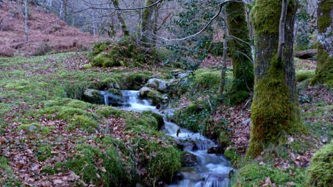 Tesoros naturales de Asturias