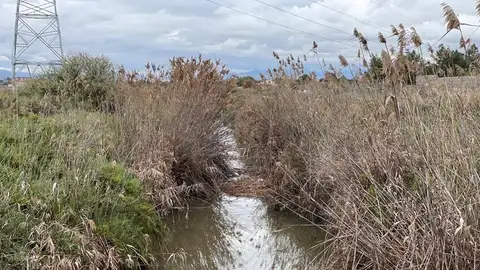 Zona desembocadura del río en Elche. Zona desembocadura del río en Elche.