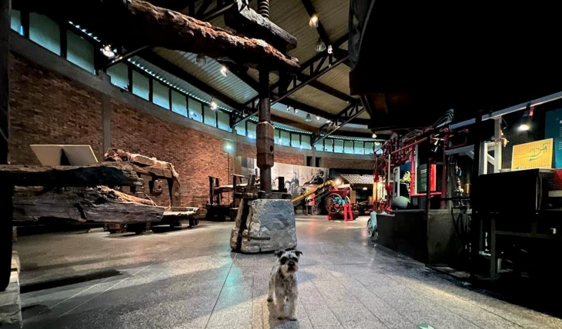 La Comarca de la Sidra ya se promociona como un destino "Pet Friendly" La Comarca de la Sidra ya se promociona como un destino "Pet Friendly"