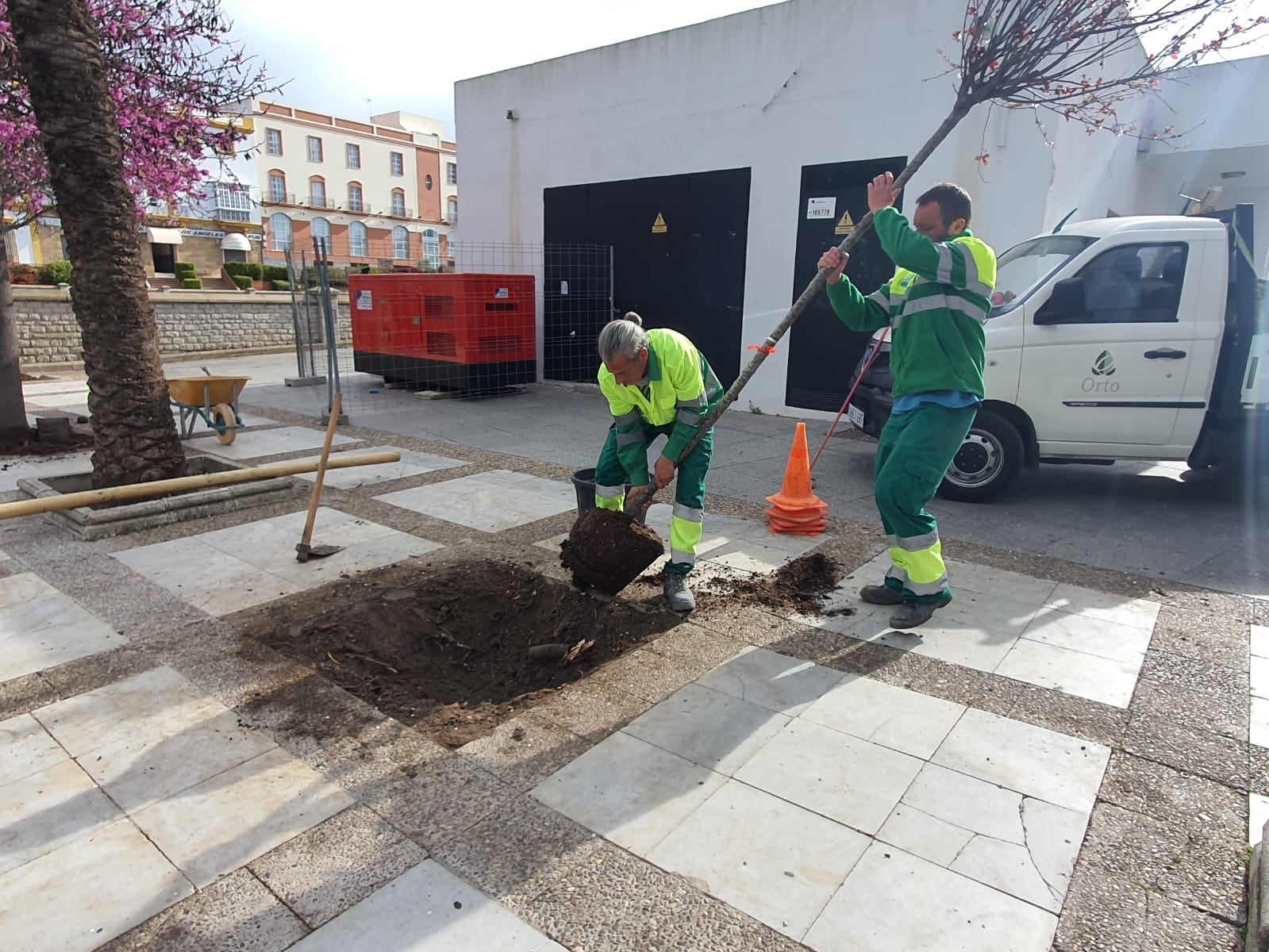 Medio Ambiente pone en marcha un plan de arbolado urbano para reponer 350 alcorques vacíos Medio Ambiente pone en marcha un plan de arbolado urbano para reponer 350 alcorques vacíos