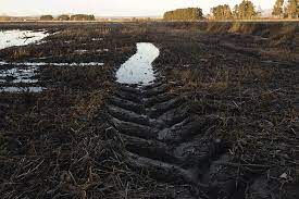 O BNG reclama un Plan para recuperar as augas e terras da comarca da Limia O BNG reclama un Plan para recuperar as augas e terras da comarca da Limia