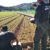 El TSJ avala la restitución de 4,9 hectáreas regadío de citricos a secano en zona de protección integral del Mar Menor