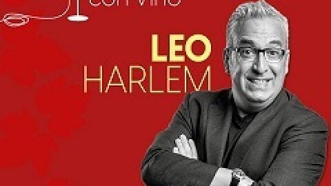Leo Harlem la cultura del vino