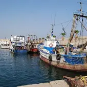 El paro pesquero que afecta a la flota de la Vila Joiosa podría extenderse a todas las cofradías de Alicante El paro pesquero que afecta a la flota de la Vila Joiosa podría extenderse a todas las cofradías de Alicante