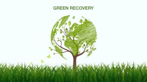 Green Recovery