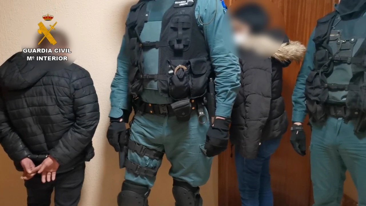 Algunos de los detenidos por la Guardia Civil