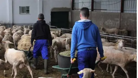 Cooperativas Extremadura urge servicios mínimos en el paro del transporte y denuncia graves problemas para el sector Cooperativas Extremadura urge servicios mínimos en el paro del transporte y denuncia graves problemas para el sector