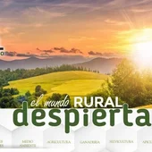 La manifestación se celebrará el domingo en Madrid La manifestación se celebrará el domingo en Madrid