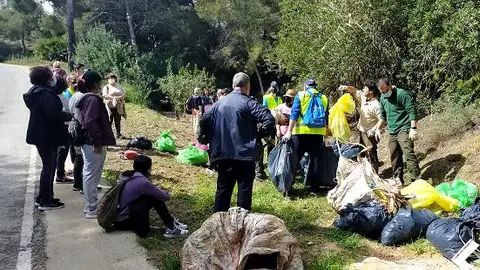 Voluntarios realizan limpieza medioambiental en el rio seco de pinar de campoverde limpieza medioambiental