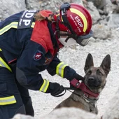 María Luz López durante uno de los entrenamientos de la Escuela Española de Salvamento y Detección con Perros María Luz López durante uno de los entrenamientos de la Escuela Española de Salvamento y Detección con Perros