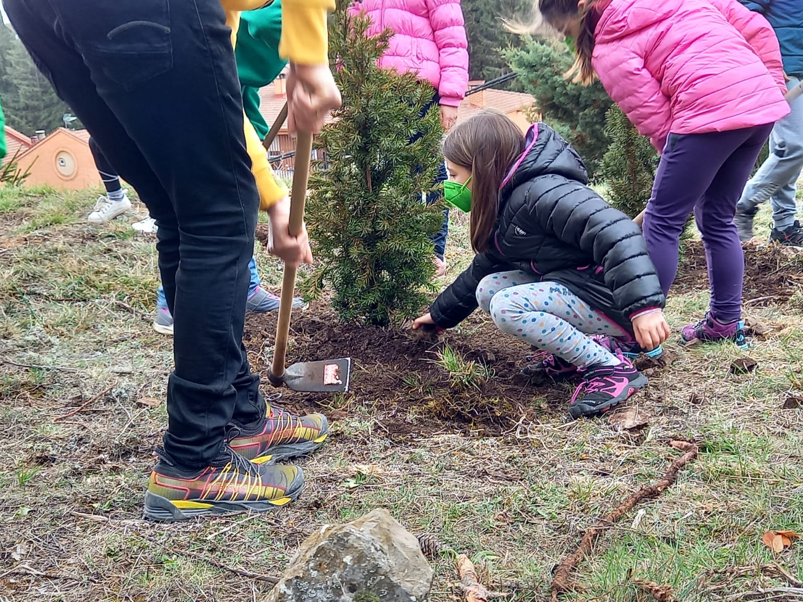 Aguilar de Campoo celebra un voluntariado ambiental con motivo del día del árbol Aguilar de Campoo celebra un voluntariado ambiental con motivo del día del árbol