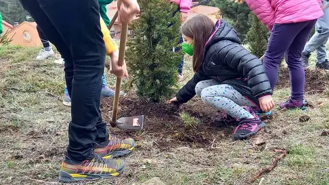 Aguilar de Campoo celebra un voluntariado ambiental con motivo del día del árbol Montaña Palentina