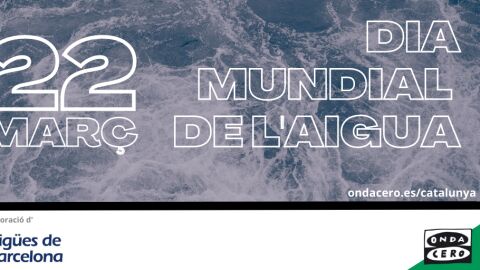 Dia de l'aigua
