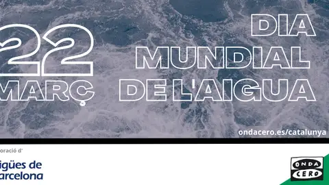 Dia de l'aigua Dia de l'aigua