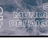 Dia de l'aigua Dia de l'aigua