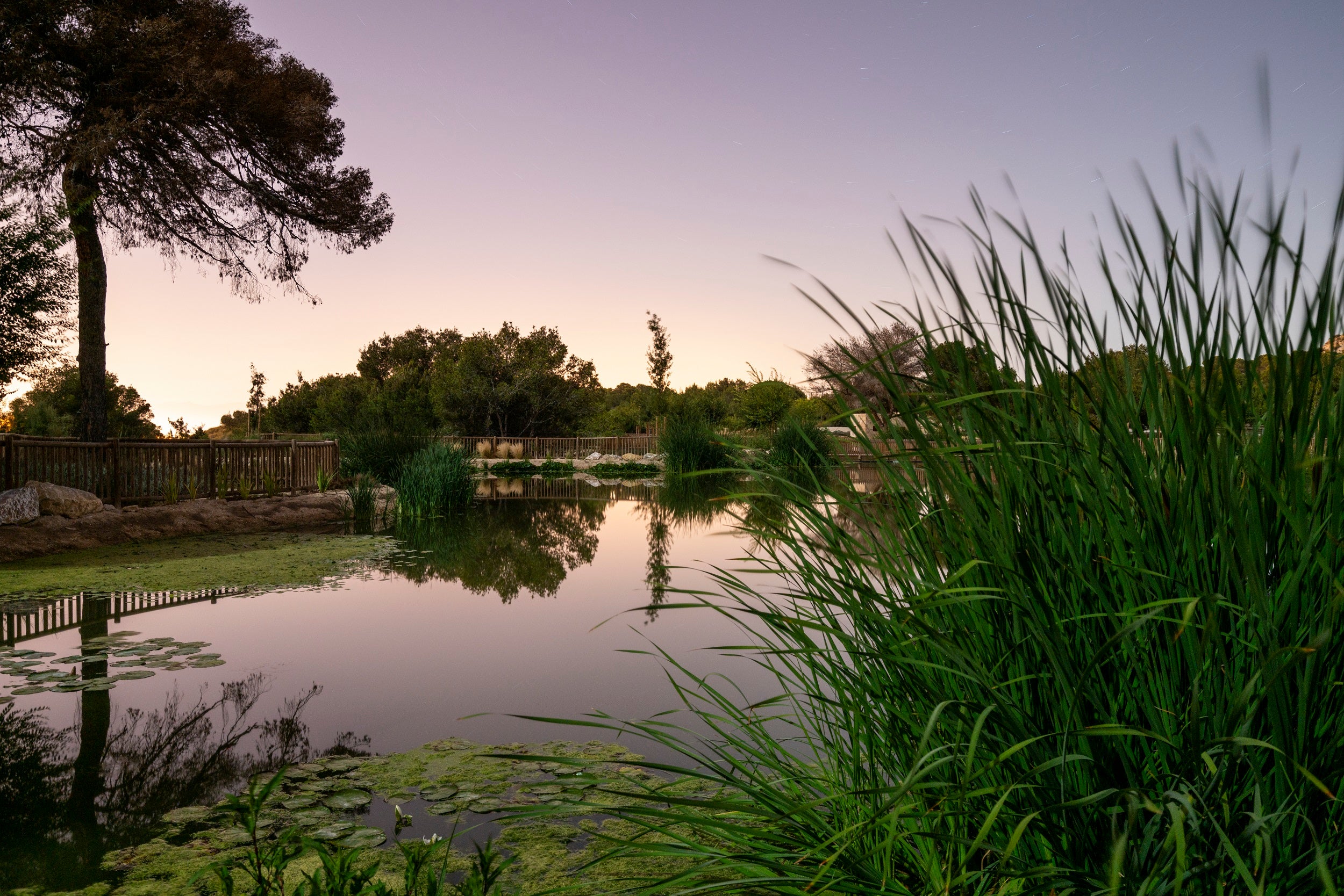 Aguas de Alicante trabaja en la digitalización, la inversión óptima y la economía circular para la gestión sostenible del agua Aguas de Alicante trabaja en la digitalización, la inversión óptima y la economía circular para la gestión sostenible del agua