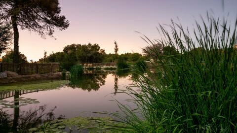 Parque para uso y almacenamiento agua regenerada