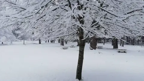El norte de la provincia de Cáceres se mantiene en aviso amarillo por nevadas hasta el próximo mediodía El norte de la provincia de Cáceres se mantiene en aviso amarillo por nevadas hasta el próximo mediodía