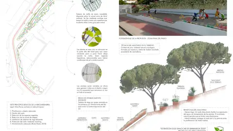 El proyecto de Jardines del Picacho en Cádiz El proyecto de Jardines del Picacho en Cádiz
