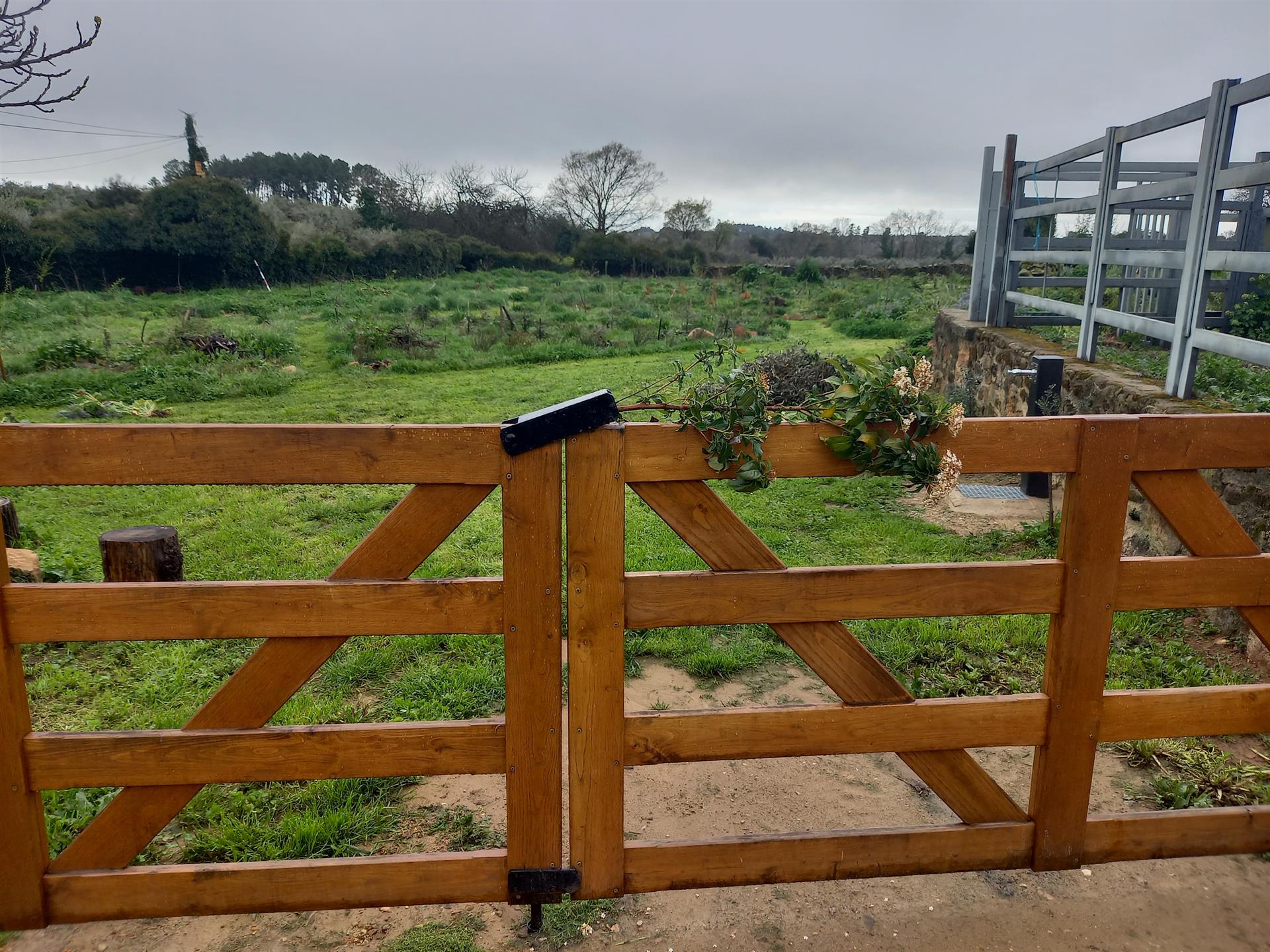 Destrozan el jardín botánico de Villasbuenas de Gata (Cáceres) arrancando plantas y árboles Destrozan el jardín botánico de Villasbuenas de Gata (Cáceres) arrancando plantas y árboles