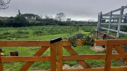 Destrozan el jardín botánico de Villasbuenas de Gata (Cáceres) arrancando plantas y árboles Destrozan el jardín botánico de Villasbuenas de Gata (Cáceres) arrancando plantas y árboles