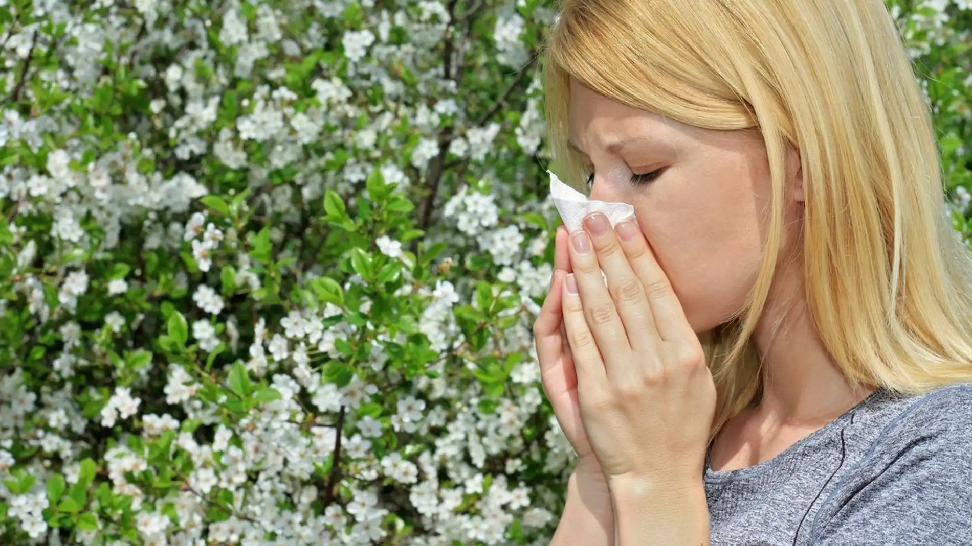 Aumentan las alergias al polen